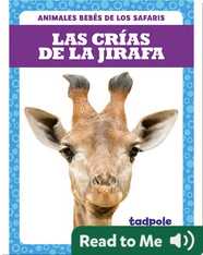 Las crías de la jirafa (Giraffe Calves)