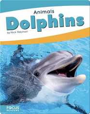 Animals: Dolphins