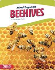 Animal Engineers: Beehives