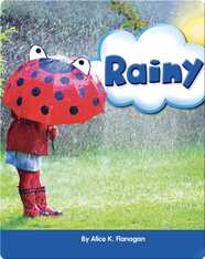 Rainy