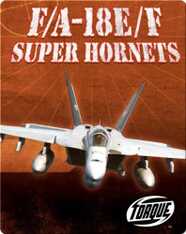 F/A-18E/F Super Hornets