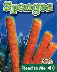 Sponges: Oceans Alive