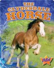The Clydesdale Horse
