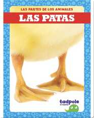 Las partes de los animales: Las patas