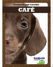 Diversión con colores: Café
