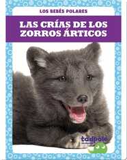 Las crías de los zorros árticos