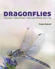 Dragonflies: Catching - Identifying - How and Where They Live