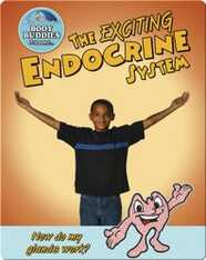 The Exciting Endocrine System