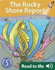 The Rocky Shore Report