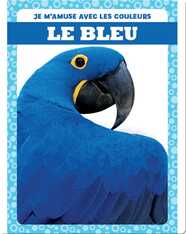 Le bleu (Blue)