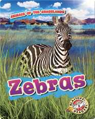 Zebras