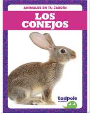 Los conejos