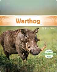 Warthog
