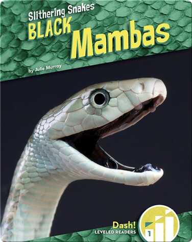 Black Mambas book