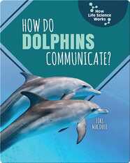 How Do Dolphins Communicate?