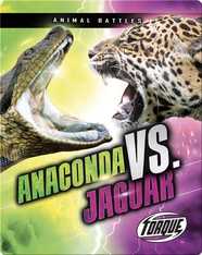 Animal Battles: Anaconda vs. Jaguar