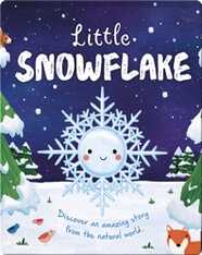 Little Snowflake