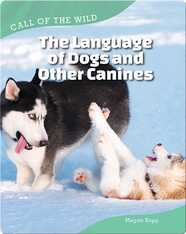 The Language of Dogs and Other Canines