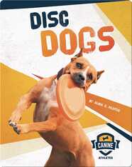 Canine Athletes: Disc Dogs