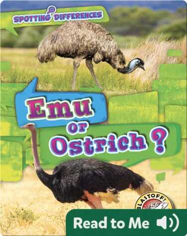 Spotting Differences: Emu or Ostrich? book