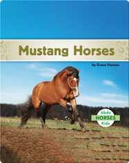 Mustang Horses