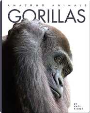 Amazing Animals: Gorillas