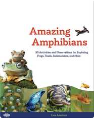 Amazing Amphibians