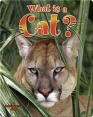 What is a Cat?