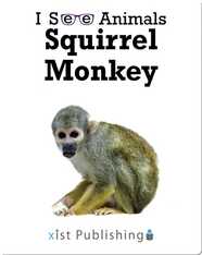 I See Animals: Squirrel Monkey