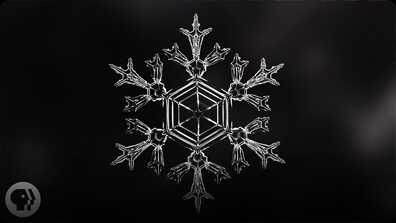 Identical Snowflakes? Scientist Ruins Winter For Everyone book