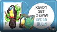 Ready Set Draw! How to Draw a TOUCAN from ANTEATERS, BATS & BOAS with Roxie Munro