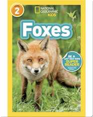 National Geographic Readers: Foxes