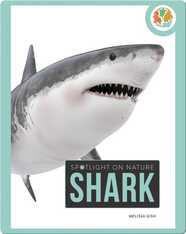 Spotlight on Nature: Shark