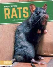 Invasive Species: Rats