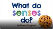 What Do Senses Do?