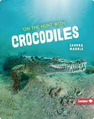 Ultimate Predators: On the Hunt with Crocodiles