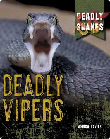 Deadly Snakes: Deadly Vipers book