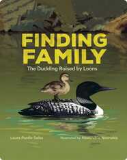 Finding Family: The Duckling Raised by Loons