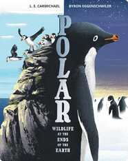 Polar: Wildlife at the Ends of the Earth