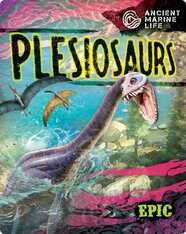 Ancient Marine Life: Plesiosaurs
