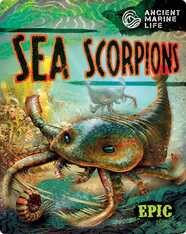 Ancient Marine Life: Sea Scorpions