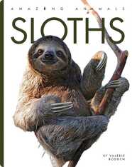 Amazing Animals: Sloths
