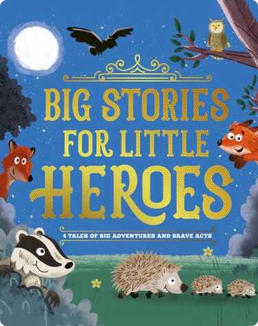 Big Stories for Little Heroes book