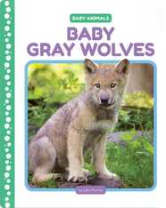 Baby Gray Wolves