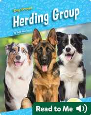 Herding Group