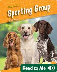 Sporting Group