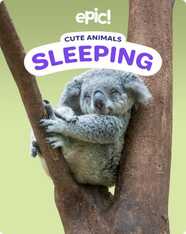 Cute Animals: Sleeping