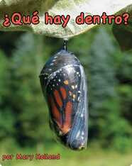 ¿Qué hay dentro?