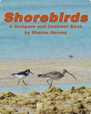 Shorebirds: A Compare and Contrast Book