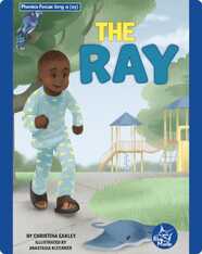 Phonics Focus: The Ray